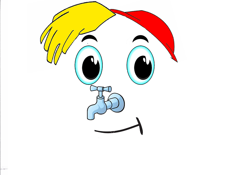 Paleo beef steak with vegetables